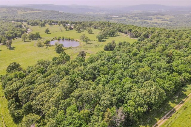 18880 Skylight Mountain Rd, Canehill, AR 72717 - photo 54