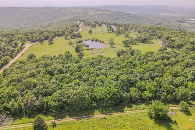 18880 Skylight Mountain Rd, Canehill, AR 72717 - bird's eye view of a forest