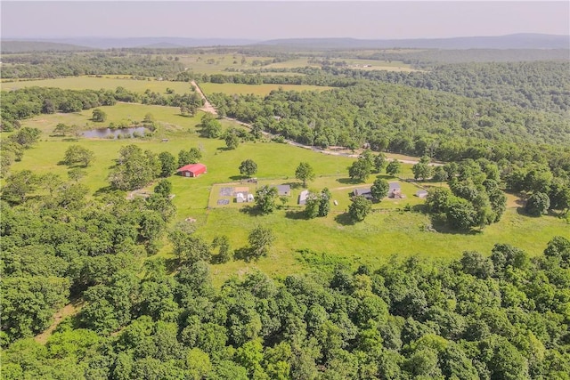 18880 Skylight Mountain Rd, Canehill, AR 72717 - bird's eye view of a heavily wooded area