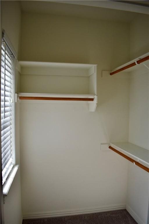 2402 N Brook Ln, Siloam Springs, AR 72761 - view of spacious closet