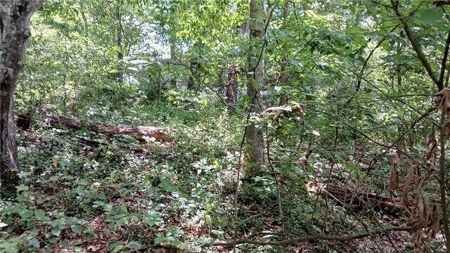 Croston Ln, Bella Vista, AR 72715