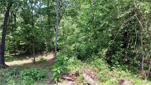 Croston Ln, Bella Vista, AR 72715
