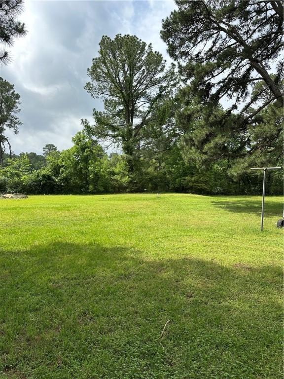 337 Shiloh Pines Ln, Russellville, AR 72802 - photo 4
