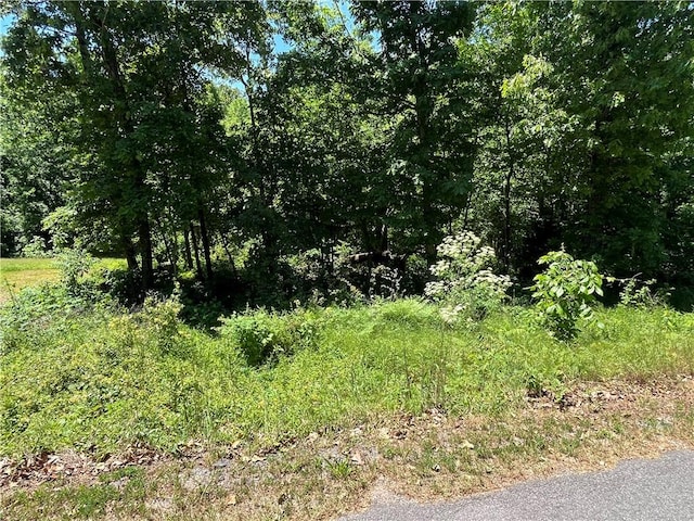 LOT9, BLOCK4 Allonby Cir, Bella Vista, AR 72714