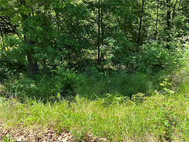 LOT9, BLOCK4 Allonby Cir, Bella Vista, AR 72714