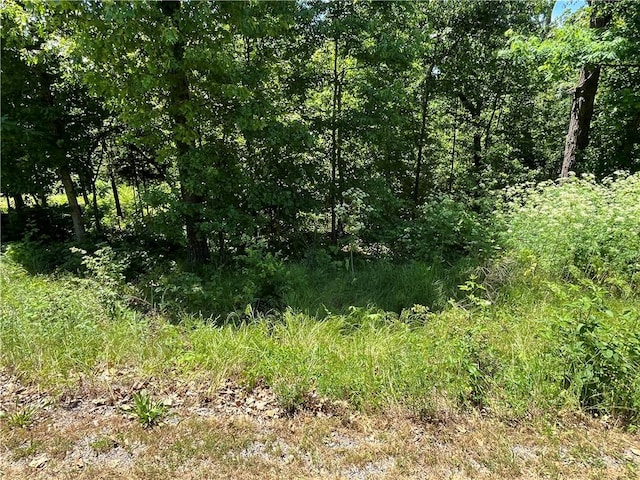 LOT9, BLOCK4 Allonby Cir, Bella Vista, AR 72714