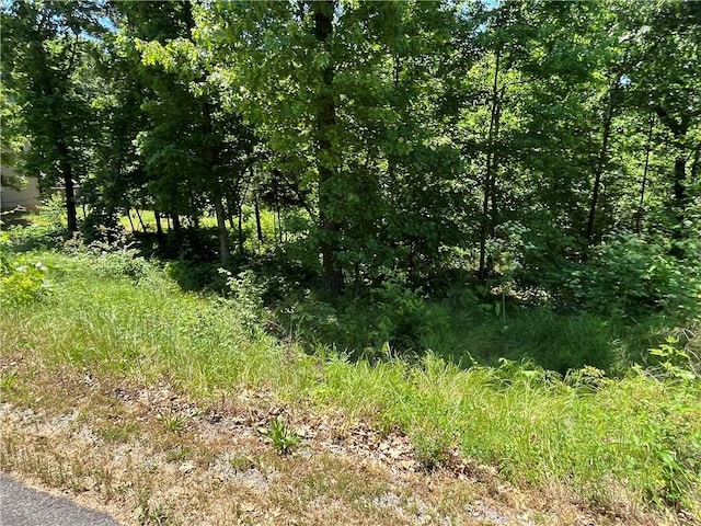 LOT9, BLOCK4 Allonby Cir, Bella Vista, AR 72714