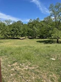 Chairbottom, Rocky Comfort, MO 64861 - photo 2