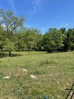 Chairbottom, Rocky Comfort, MO 64861 - photo 3