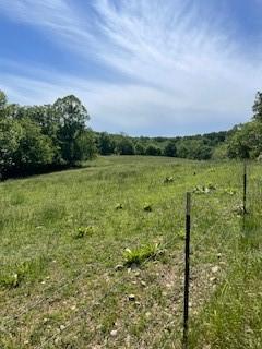 Chairbottom, Rocky Comfort, MO 64861 - photo 5