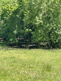 Chairbottom, Rocky Comfort, MO 64861 - photo 6