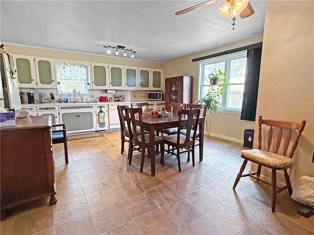 1711 W Cline Rd, Clarksville, AR 72830 - dining space with a ceiling fan, baseboards, and rail lighting