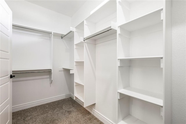 506 Hindman Dr, Prairie Grove, AR 72753 - walk in closet featuring carpet
