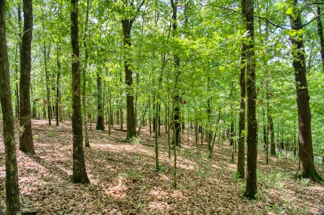 Mundell Rd, Eureka Springs, AR 72631
