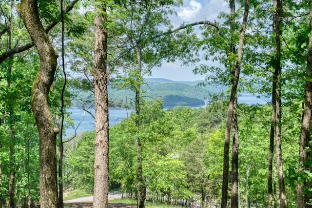 Mundell Rd, Eureka Springs, AR 72631