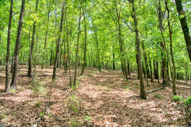 Mundell Rd, Eureka Springs, AR 72631