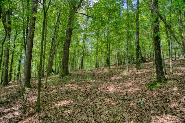 Mundell Rd, Eureka Springs, AR 72631