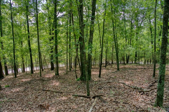 Mundell Rd, Eureka Springs, AR 72631