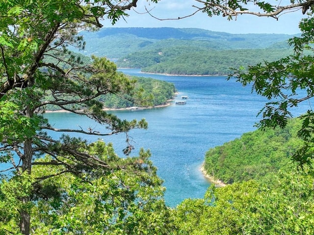 Mundell Rd, Eureka Springs, AR 72631
