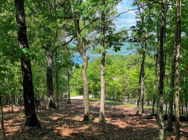 Mundell Rd, Eureka Springs, AR 72631