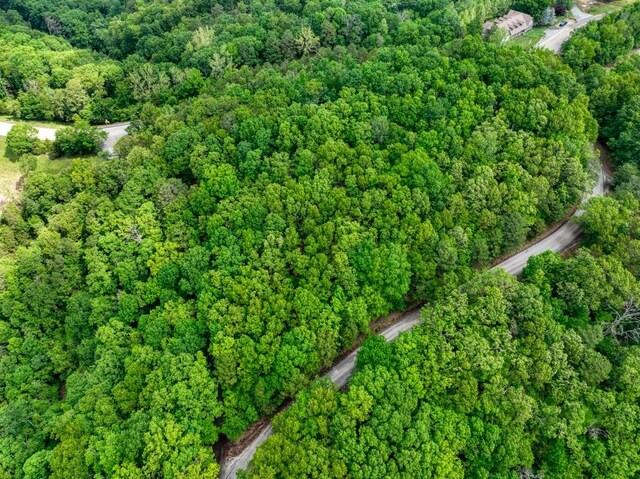 Mundell Rd, Eureka Springs, AR 72631