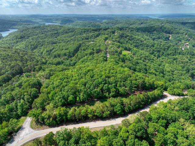 Mundell Rd, Eureka Springs, AR 72631
