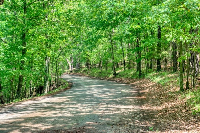 Mundell Rd, Eureka Springs, AR 72631