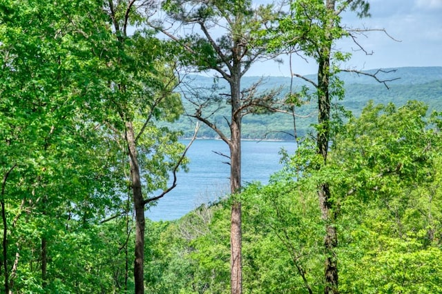 Mundell Rd, Eureka Springs, AR 72631