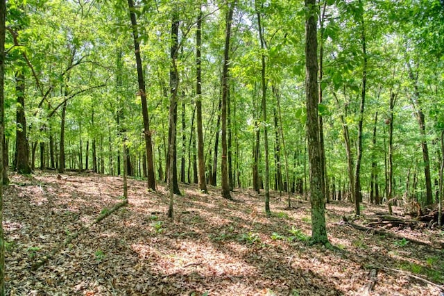 Mundell Rd, Eureka Springs, AR 72631