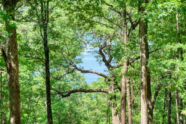 Mundell Rd, Eureka Springs, AR 72631