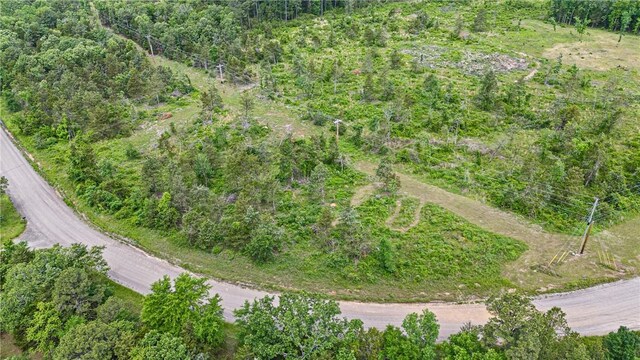 3237 River Mountain Rd, Delaware, AR 72835