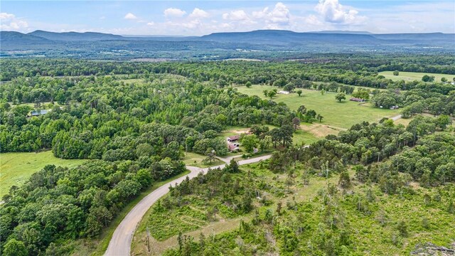 3237 River Mountain Rd, Delaware, AR 72835