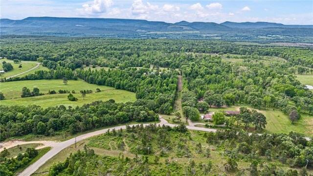 3237 River Mountain Rd, Delaware, AR 72835