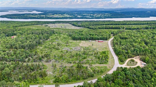 3237 River Mountain Rd, Delaware, AR 72835