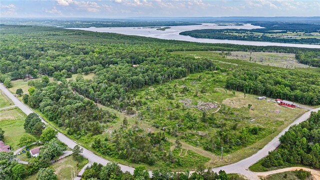 3237 River Mountain Rd, Delaware, AR 72835