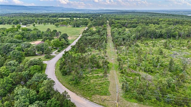 3237 River Mountain Rd, Delaware, AR 72835