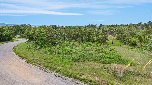 3237 River Mountain Rd, Delaware, AR 72835