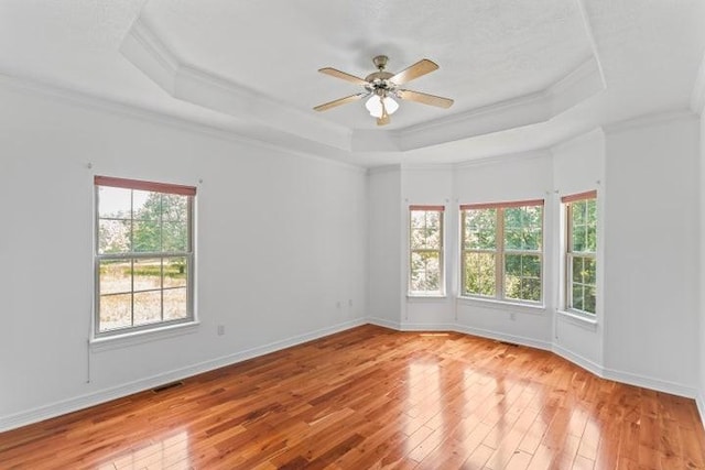 1878 Morning Side Falls Blvd, Blue Eye, MO 65611 - spare room with a raised ceiling, light wood-type flooring, ceiling fan, ornamental molding, and baseboards