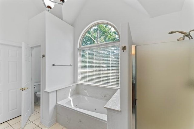 1878 Morning Side Falls Blvd, Blue Eye, MO 65611 - bathroom featuring tile patterned floors, a stall shower, lofted ceiling, a jetted tub, and toilet