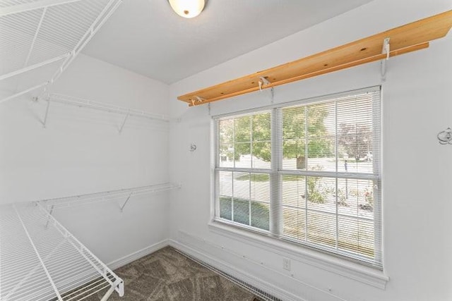 1878 Morning Side Falls Blvd, Blue Eye, MO 65611 - walk in closet with carpet flooring