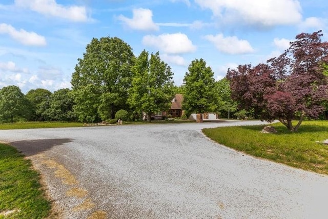 1878 Morning Side Falls Blvd, Blue Eye, MO 65611 - view of street