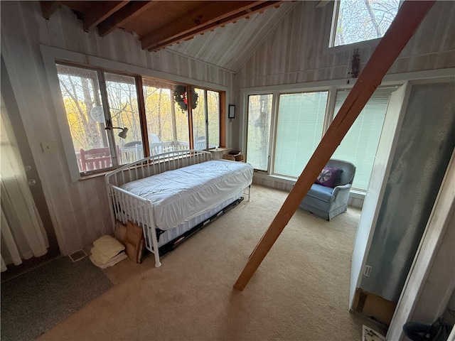 1088 Little Red River Rd, Leslie, AR 72645 - view of carpeted bedroom