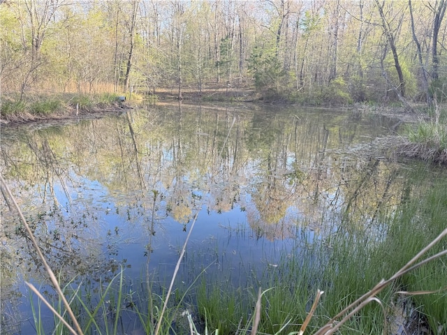 1088 Little Red River Rd, Leslie, AR 72645 - water view