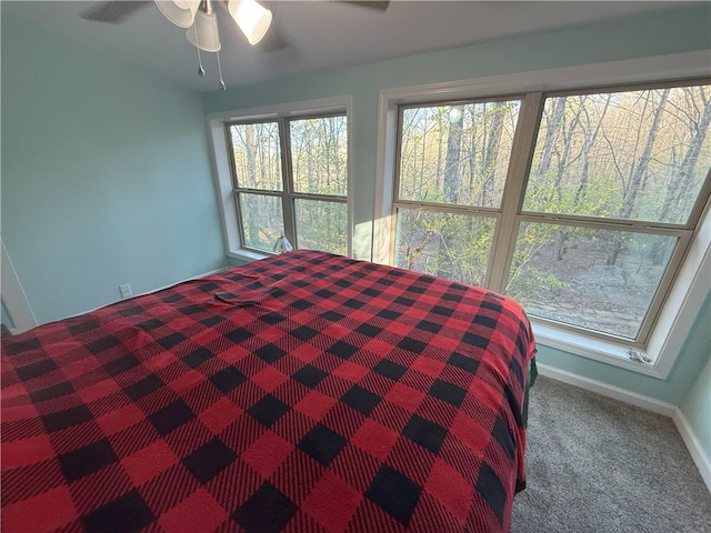1088 Little Red River Rd, Leslie, AR 72645 - view of carpeted bedroom