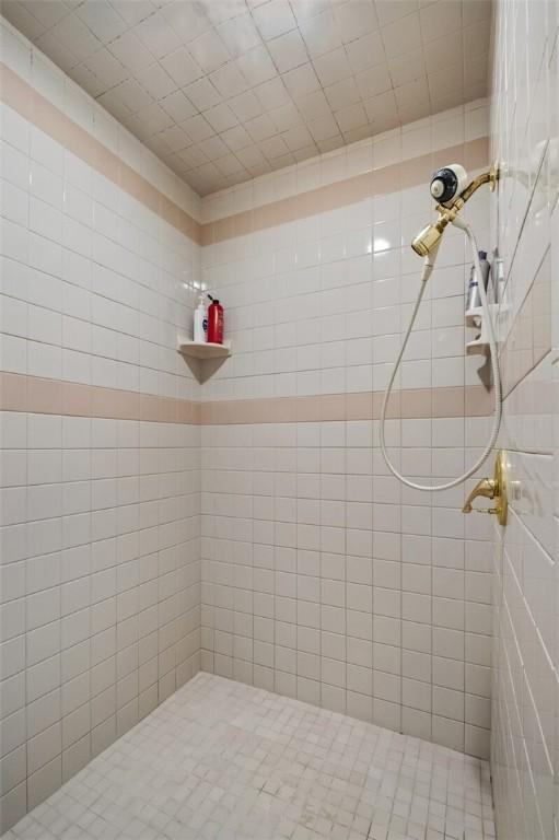 24 Dogwood Rdg, Eureka Springs, AR 72632 - full bath with a tile shower
