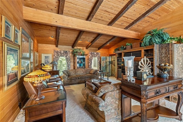 24 Dogwood Rdg, Eureka Springs, AR 72632 - living area with wooden ceiling, wooden walls, and carpet flooring