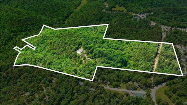 24 Dogwood Rdg, Eureka Springs, AR 72632 - aerial overview of property's location with a heavily wooded area and property parcel outlined