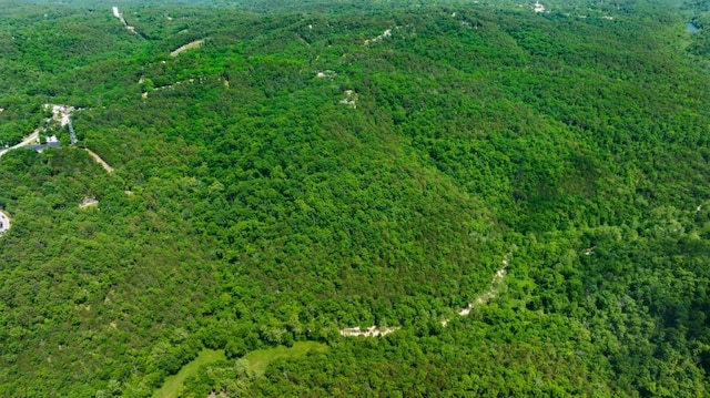 24 Dogwood Rdg, Eureka Springs, AR 72632 - aerial view of property's location with a forest