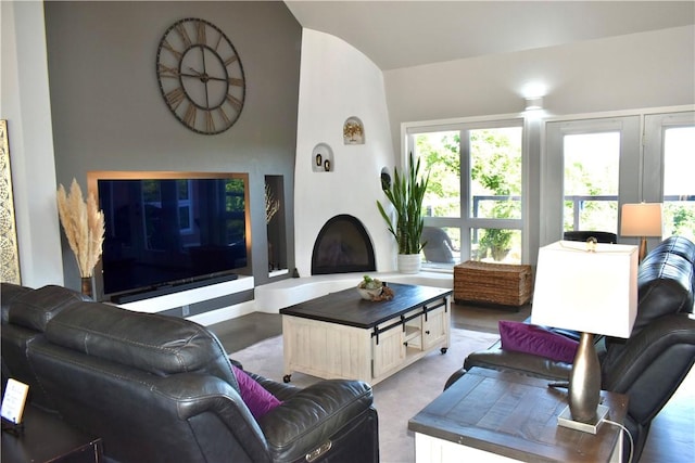 8141 Ward Ln, Rogers, AR 72756 - living room featuring vaulted ceiling