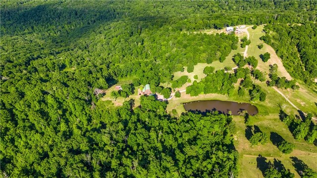 11939 Canova Trl, Mountainburg, AR 72946 - photo 40